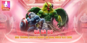 Đá Gà 88 - Đấu Trường Chuyên Nghiệp Đa Dạng Nhiều Kèo Cược