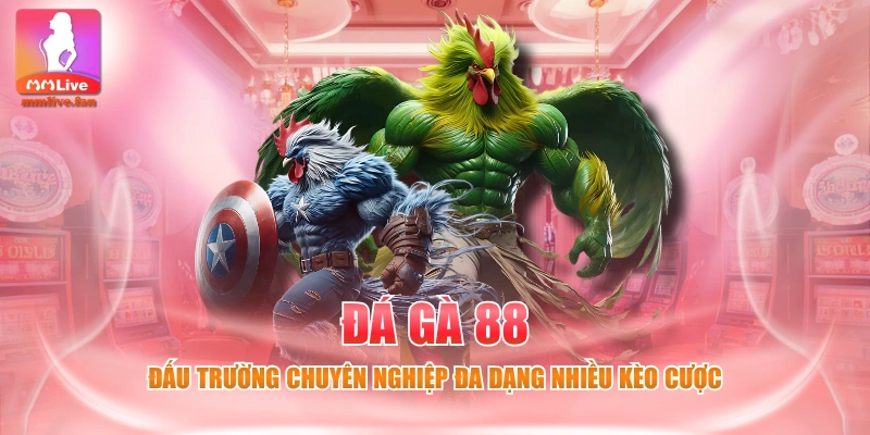 Đá Gà 88 - Đấu Trường Chuyên Nghiệp Đa Dạng Nhiều Kèo Cược