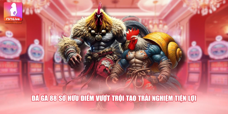 Đá gà 88 sở hữu điểm vượt trội tạo trải nghiệm tiện lợi