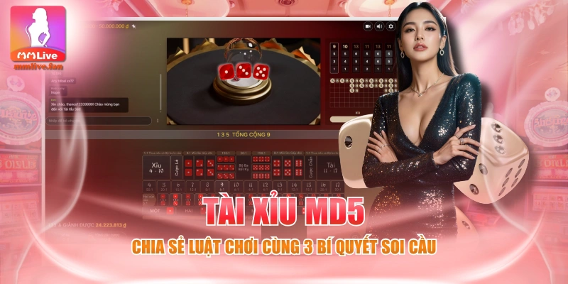 Tài Xỉu MD5 - Chia Sẻ Luật Chơi Cùng 3 Bí Quyết Soi Cầu